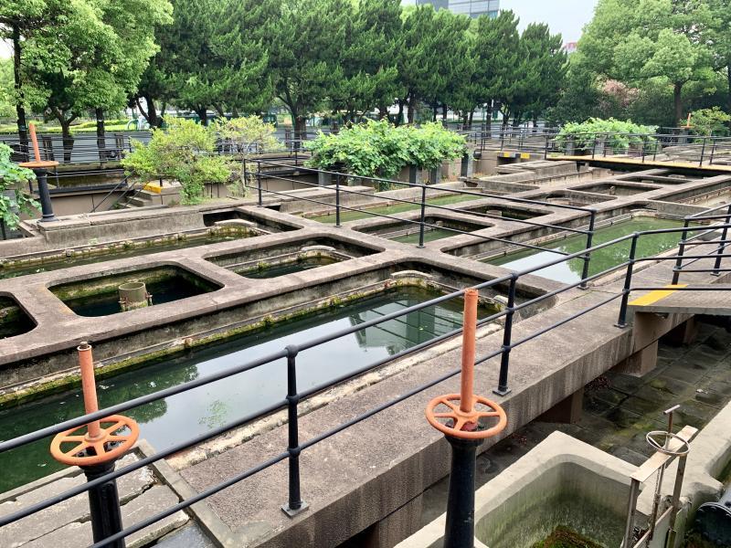 上海最新药物试验招募,绿色探索之旅,寻求内心平静的勇者挑战