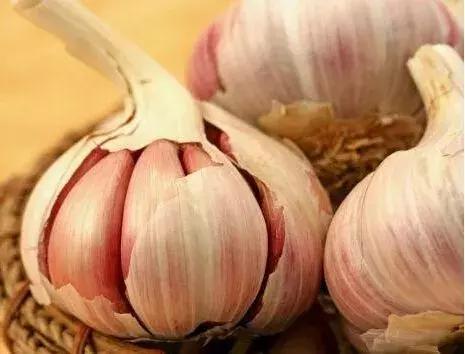 陕西大蒜最新价格行情动态更新🍤🌾