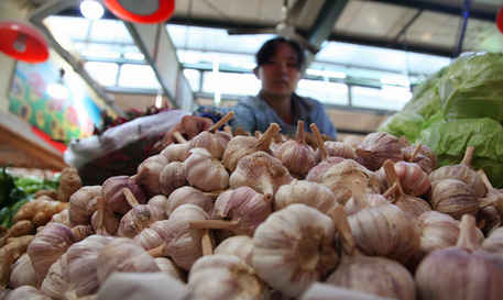 陕西大蒜最新价格行情动态更新🍤🌾