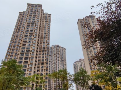 东津世纪城最新动态速递📣