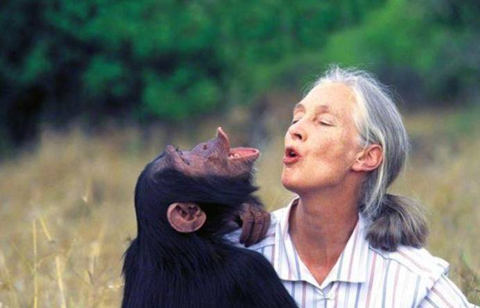 人与动物交配电影,人与动物交配电影,伦理、道德与社会认知的探讨