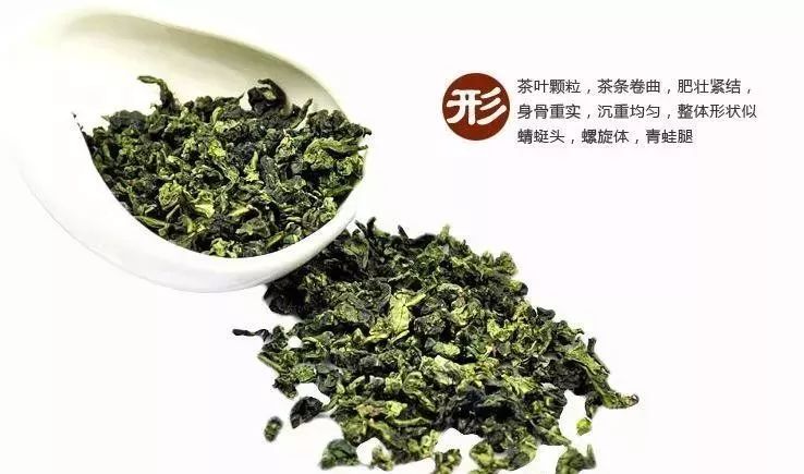 铁观音茶价格表，市场分析、选购指南与价格一览