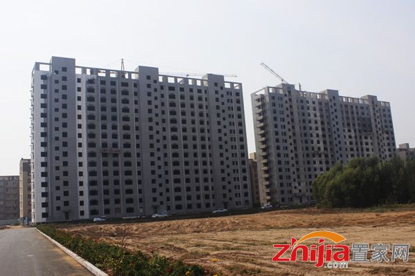 邯郸南湖文苑最新资讯——巷弄深处的独特小店探秘揭秘