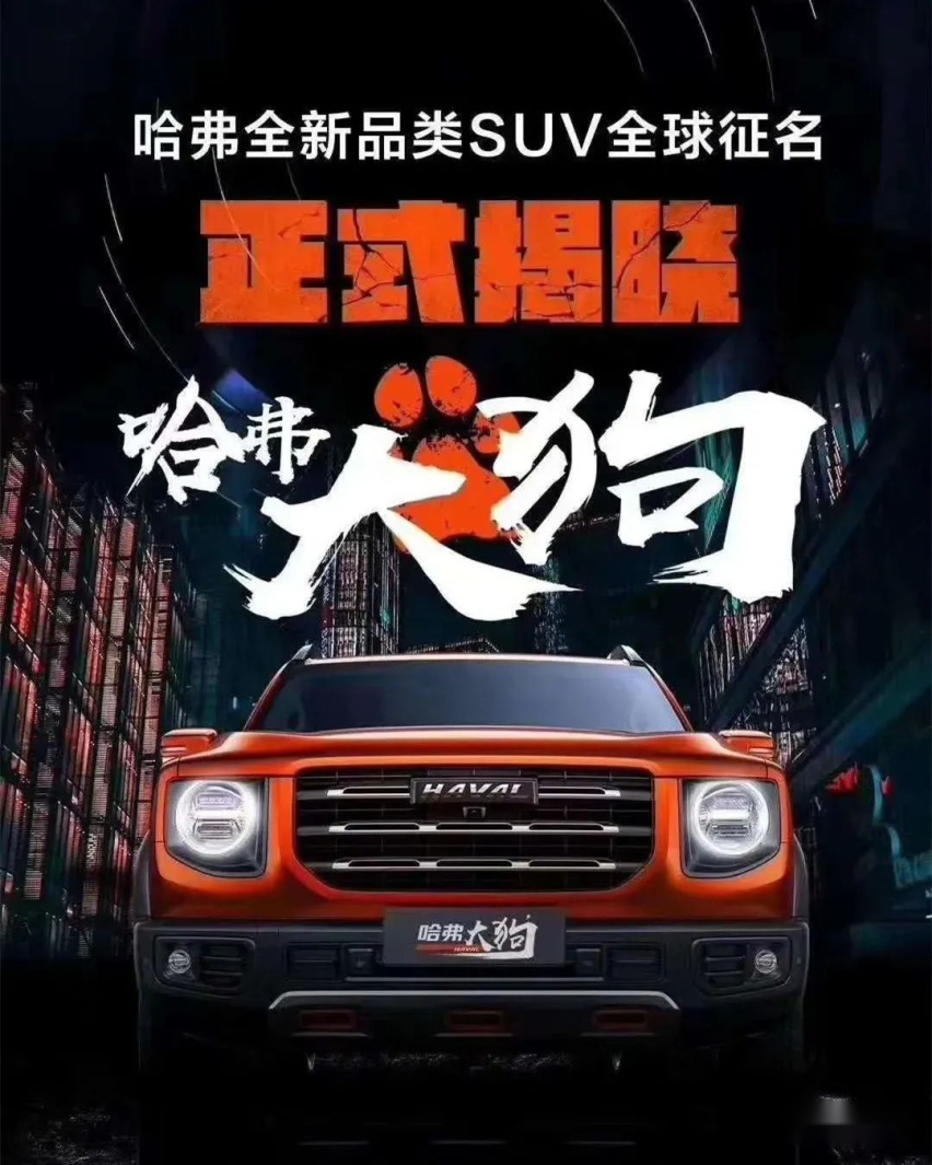 哈狗杭牌三合一官方最新版,牌桌上的温情日常体验