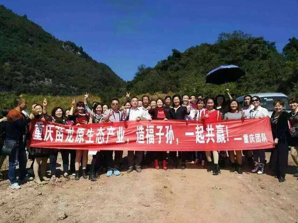 重庆苗龙集团最新动态深度解析,观点阐述与分析