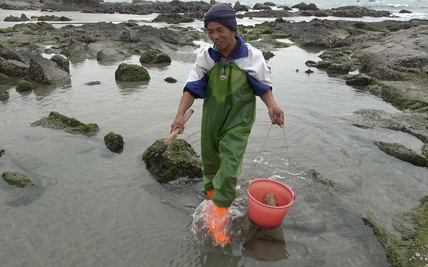 小池赶海最新动态揭秘,最新赶海进展与发现