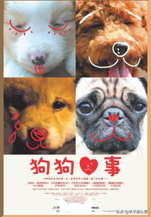 光影交织的时代印记，最新电影推荐榜单（2017年）