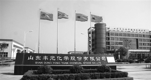 山东丰元上市，开启自然美景探索之旅
