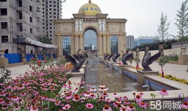 鹏洲丽城最新动态与繁荣背后的深度解读