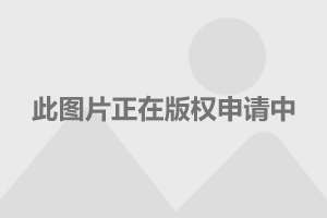 杀破狼2女演员表，闺蜜间的温馨日常