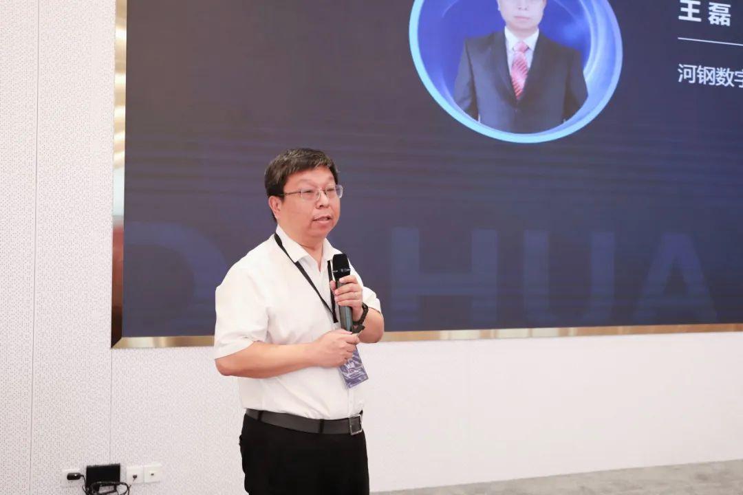 大华股份股票走势，时代的见证与行业领航者的表现分析
