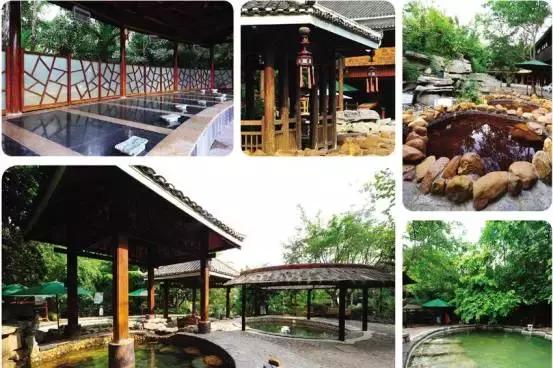 最新农家院名称大全,感受乡村魅力的独特体验