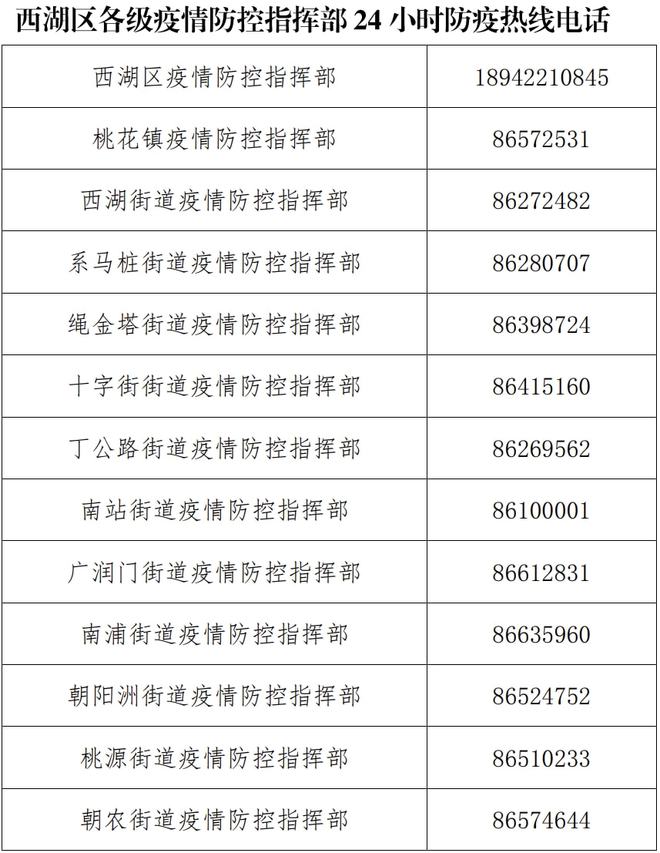当阳最新公告深度解析与观点阐述