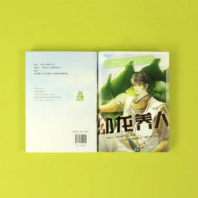 龙饲养指南全新版,轻松成为龙的主人的秘籍