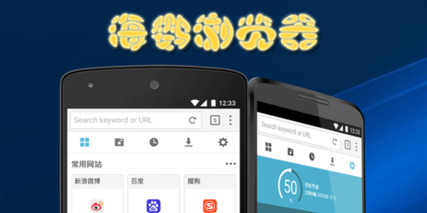 海鹦浏览器破解版，励志故事背后的探索与挑战之路
