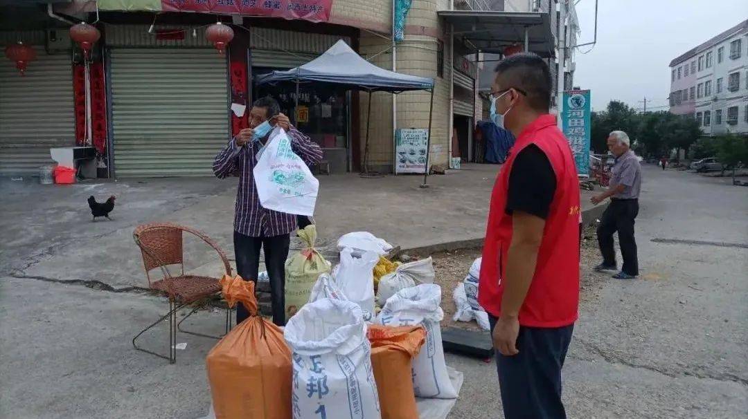 科技引领前沿，最新武平疫情动态与守护健康新生活的进展