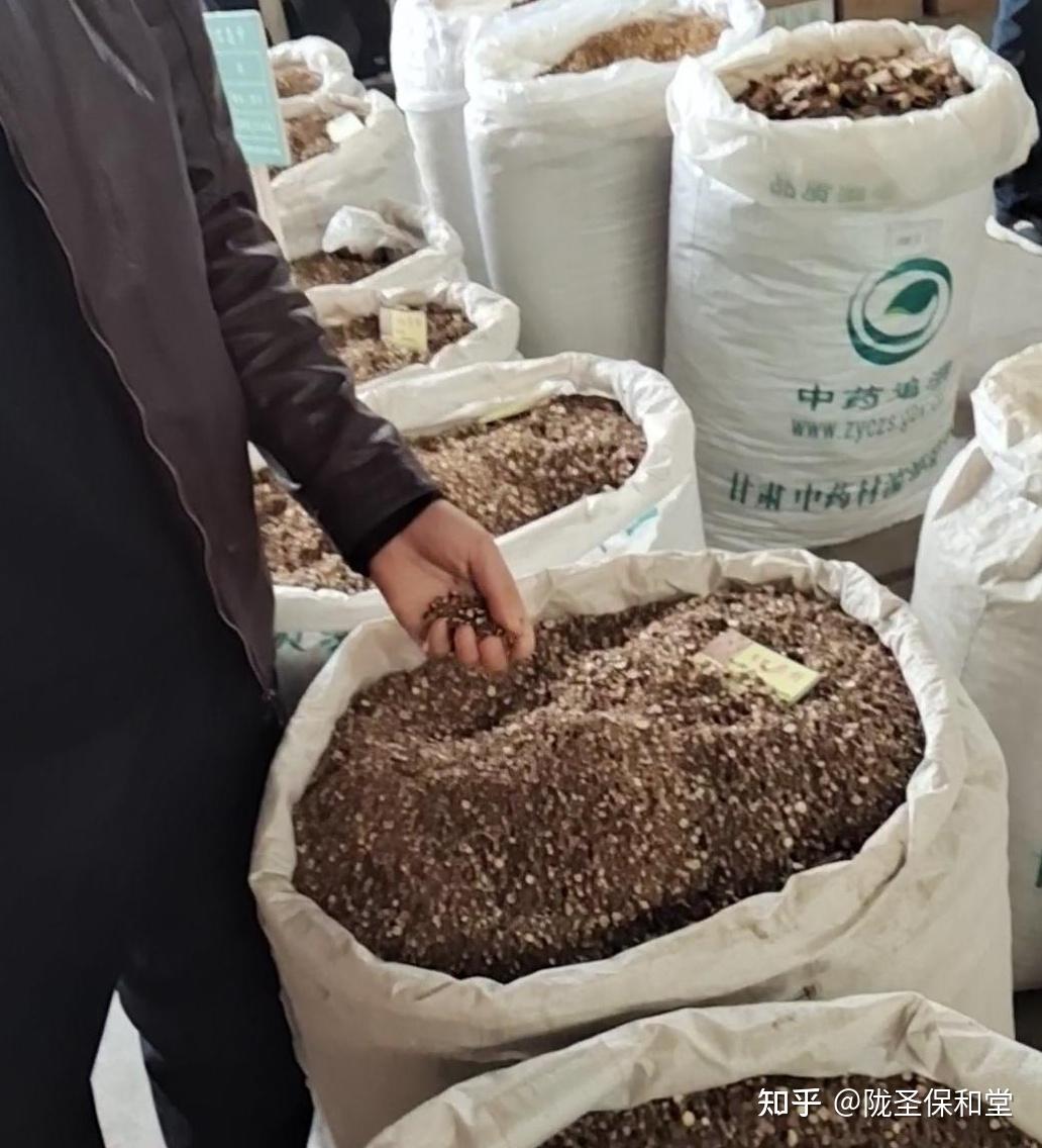 陇西中药材最新行情，繁荣市场与前景展望