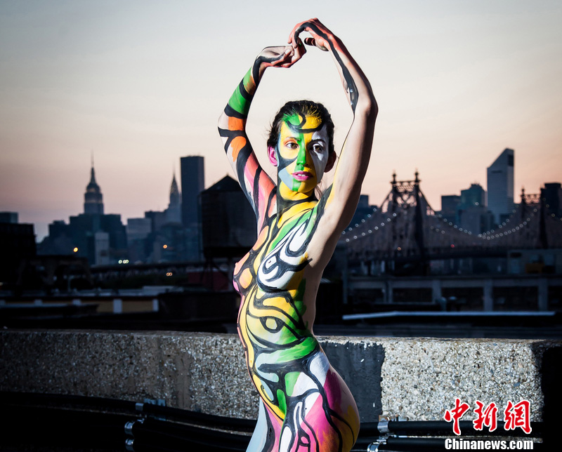 探索人体之美的科学与艺术,最新胴体图片赏析