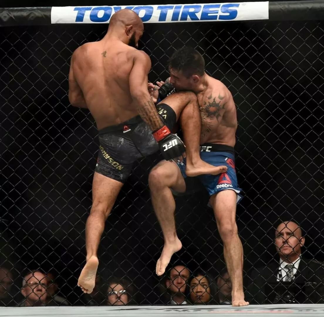 大力鼠比赛观看指南,技能学习与视频欣赏