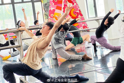 上海金星舞蹈学校价格详解与指南