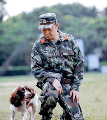 神犬奇兵全新高科技演员阵容呈现视听盛宴，神犬奇兵演员表一览无余