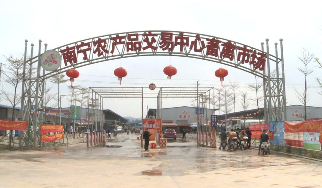 探秘小巷宝藏，一场独特的市场价格查询之旅