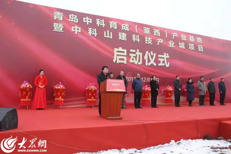 莱西姜山招聘信息深度解析与个人观点分享