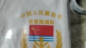 最新精选军需用品,科技提升战斗力,体验未来军事生活