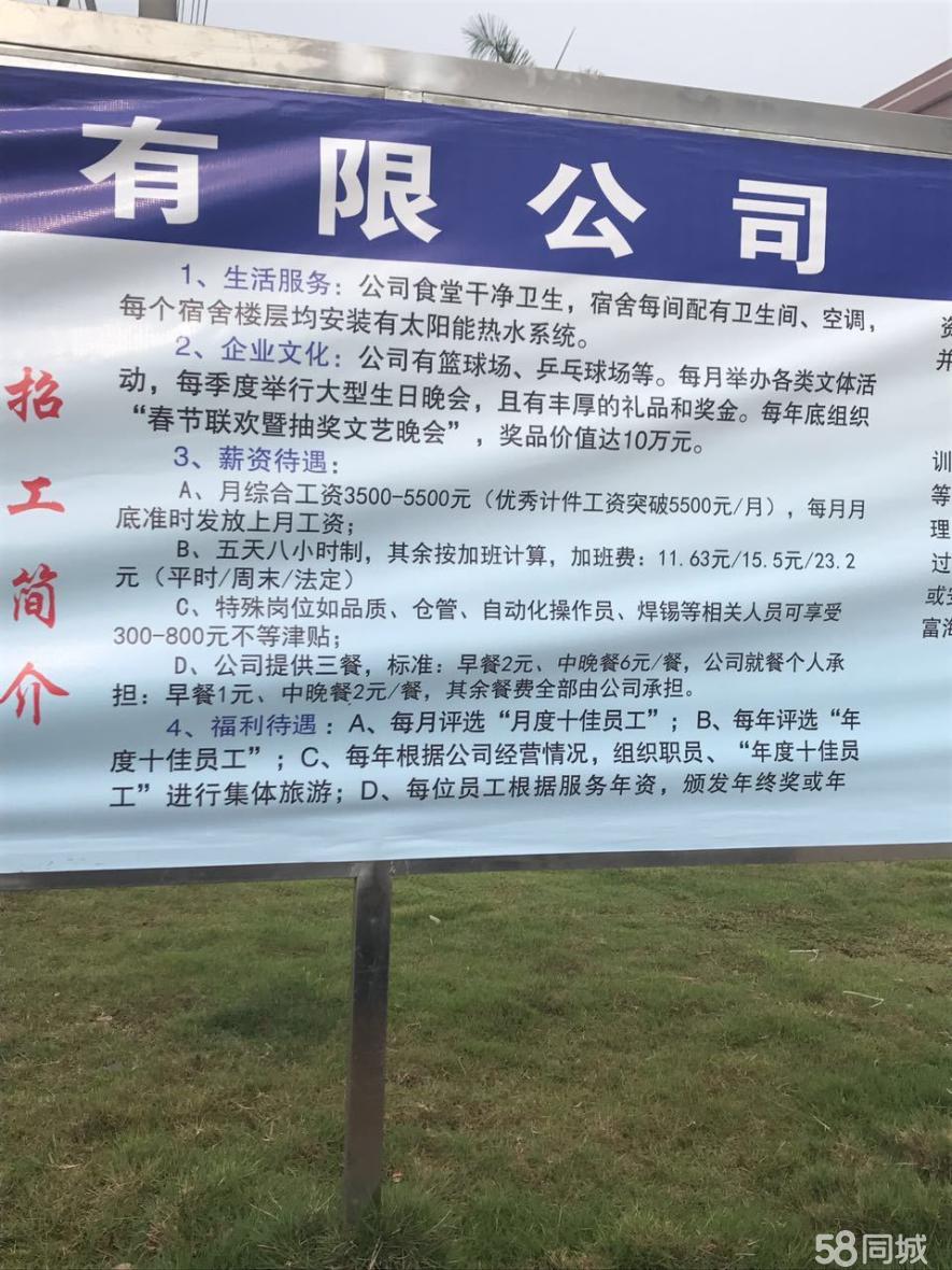 华士镇长白班招聘信息,工作友情并重,温馨职场新篇章