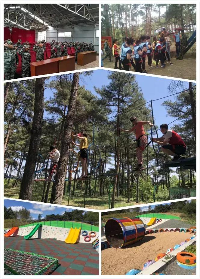 故城县最新动态,变化中的力量与学习带来的自信与成就感