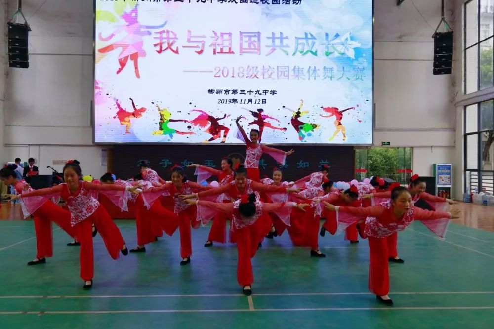 校园集体舞比赛，舞动青春，心灵与自然的交响之旅