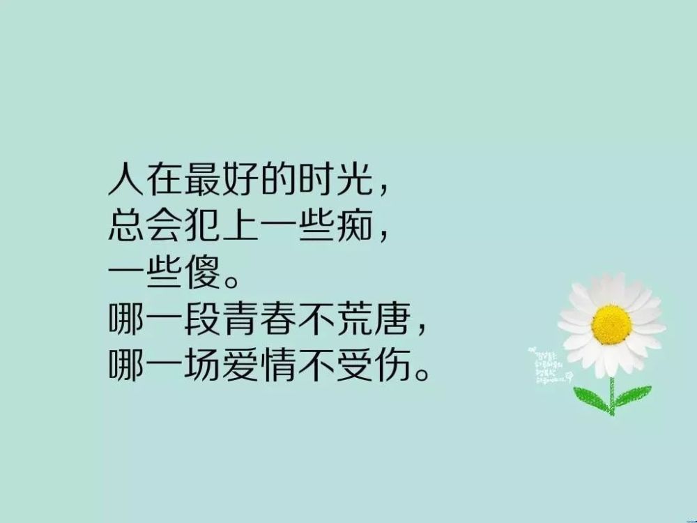 励志语句与小巷深处的独特风景