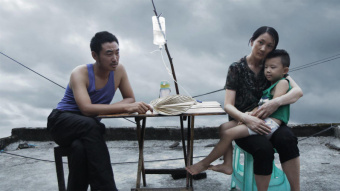 狮子座符号电影,小巷深处的电影宝藏探索