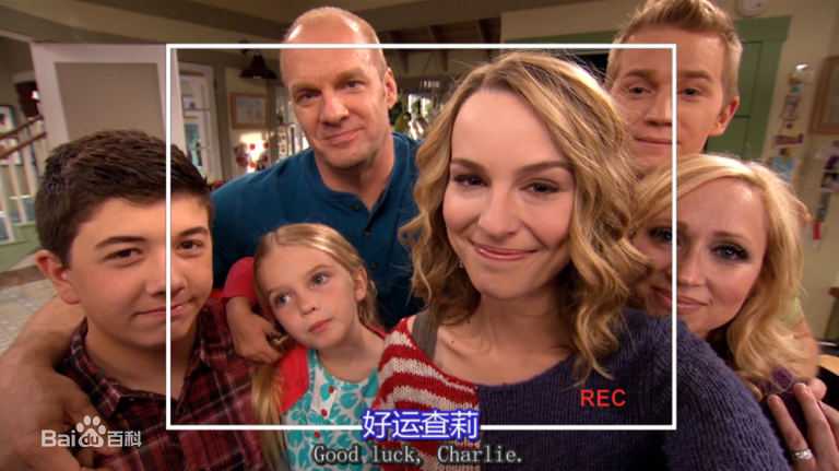 好运查理演员表,角色与演员的魅力深度解析