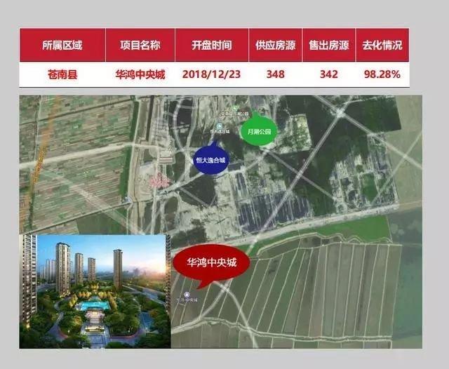苍南新城区蓬勃发展，最新动态揭示城市新面貌