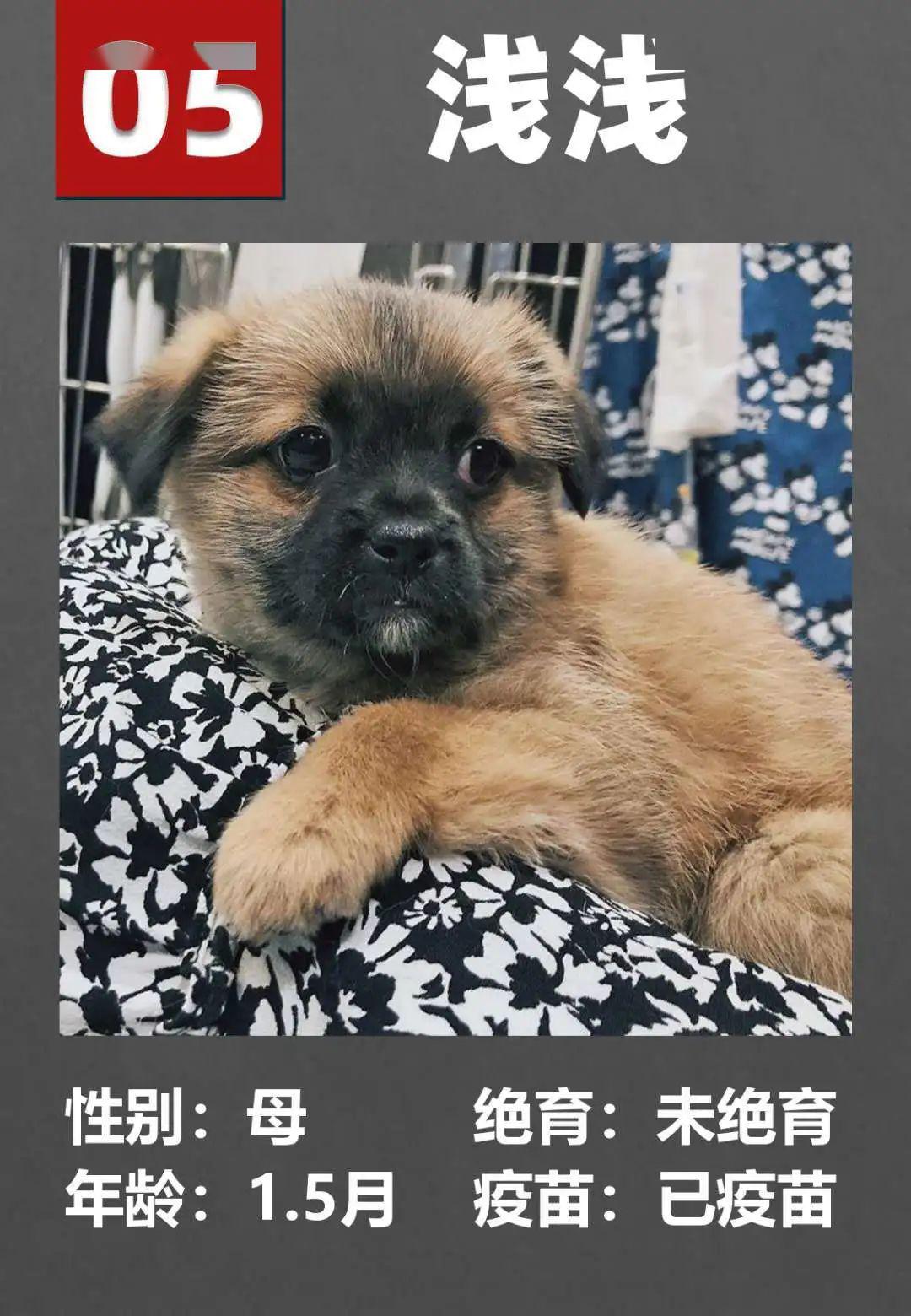 回转接头 第167页