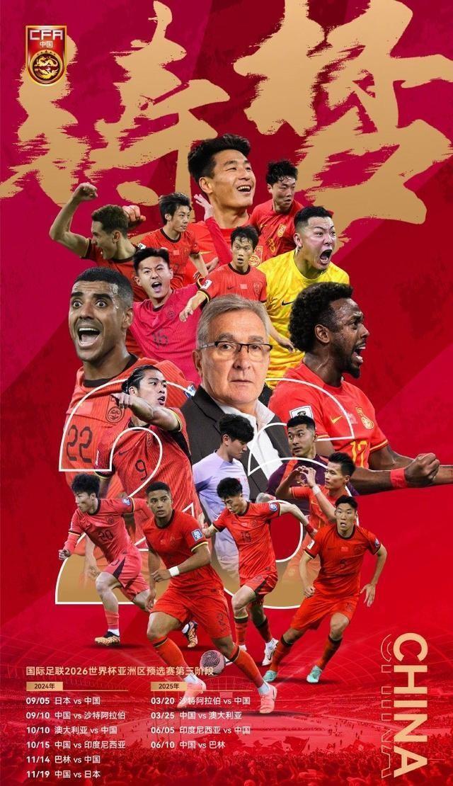 菜鸡价格行情详解,全面指南