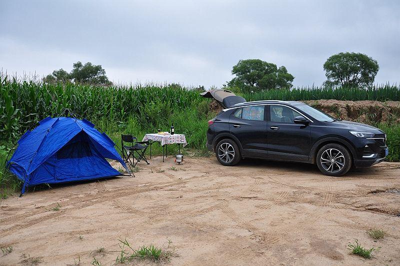 红酒比赛,探寻内心平静的旅程