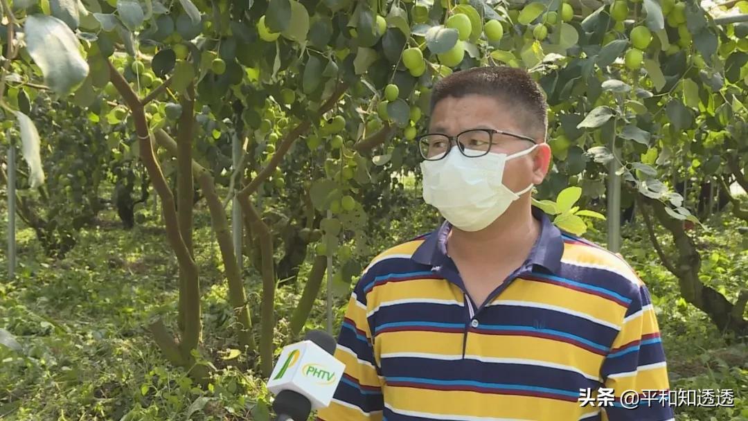 农场上市公司,农业现代化先锋,引领农业现代化发展之路