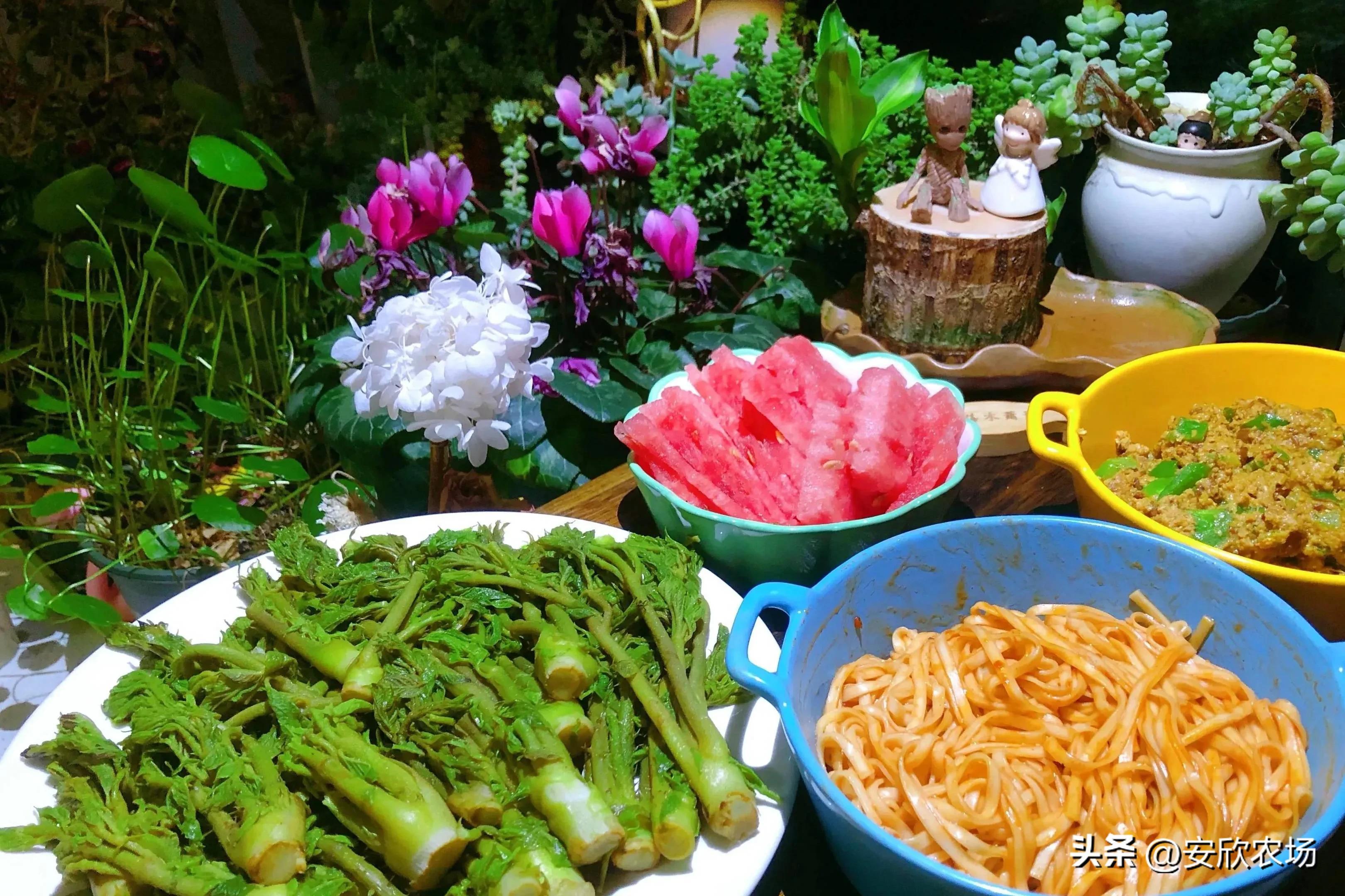 农场上市公司,农业现代化先锋,引领农业现代化发展之路