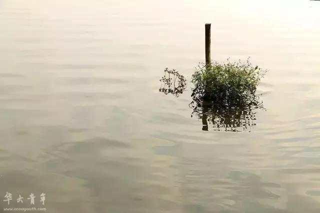 镜中影新作小说,科技新品重塑现实之梦