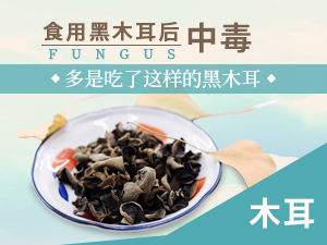 治肝内胆管结石最新药物论述,探索最新疗效药物与治疗方法