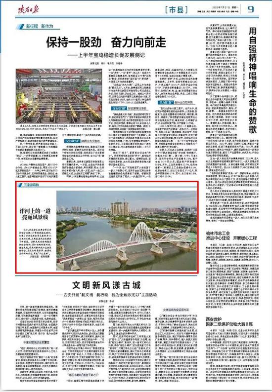 贸金所最新动态，引领金融行业迈入新纪元