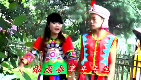 最新云南山歌剧大全集,观看与步骤指南