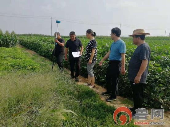 巨野房屋出租最新动态，家园变迁，自信与成就感的起点
