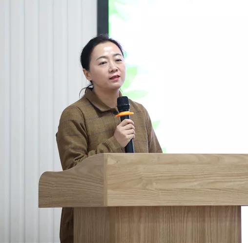 包头规划局最新规划图揭秘，小巷深处的惊喜探索