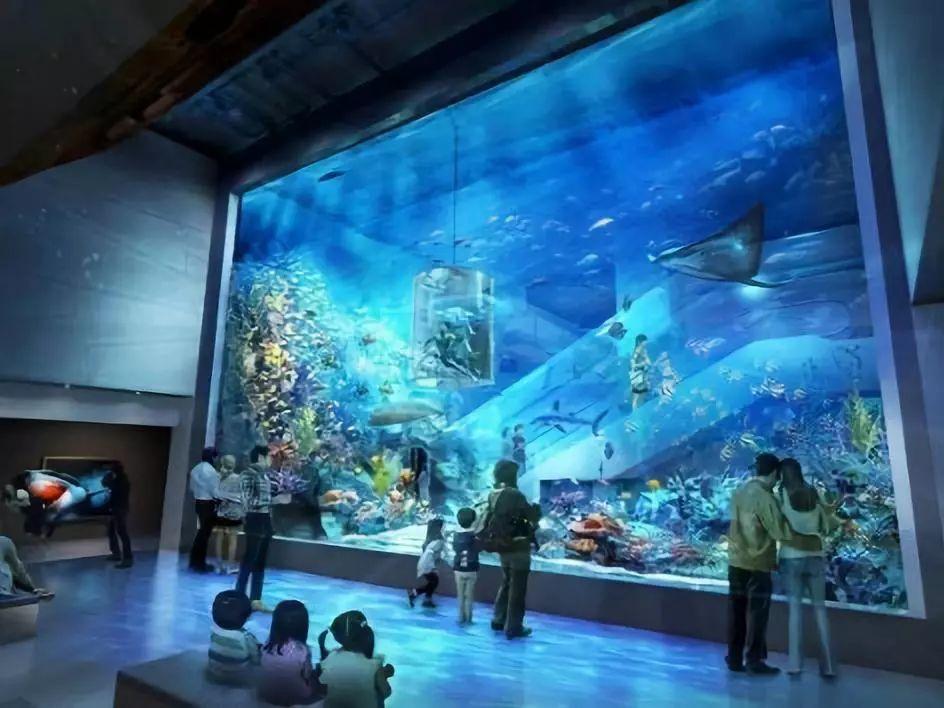 高淳万悦城最新动态,自然美景的探索之旅,寻求内心平和与宁静