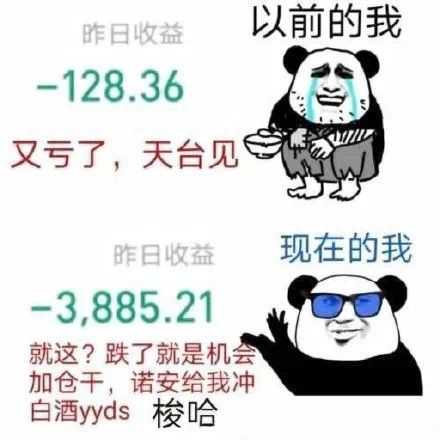 最新股市段子,波动中的自信与成就感探寻之路
