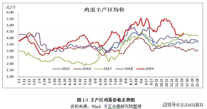 最新鸡蛋行情预测,洞悉市场趋势,把握商机!