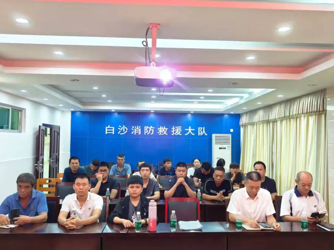 白沙最新新闻，多元视角解读与洞察